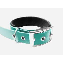 Collier pour Chien rembourré Teal en matière BioThane®, Largeur 25mm , taille XL