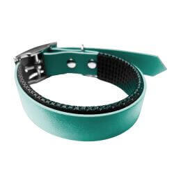 Collier pour Chien rembourré Teal en matière BioThane®, Largeur 25mm , taille XL