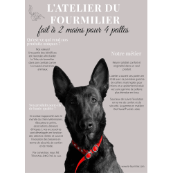 Collier pour Chien rembourré Teal en matière BioThane®, Largeur 25mm , taille XL