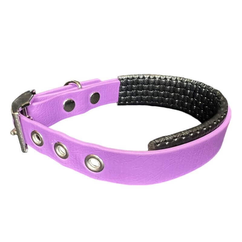 Collier pour Chien Améthyste en matière BioThane®, Largeur 19mm , taille XXS
