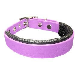 Collier pour Chien Améthyste en matière BioThane®, Largeur 19mm , taille XXS