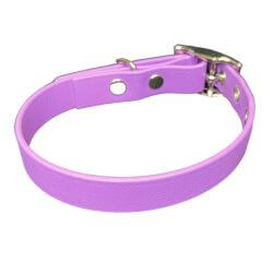 Collier pour Chien Améthyste en matière BioThane®, Largeur 19mm , taille XS