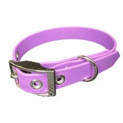 Collier pour Chien Améthyste en matière BioThane®, Largeur 19mm , taille XS
