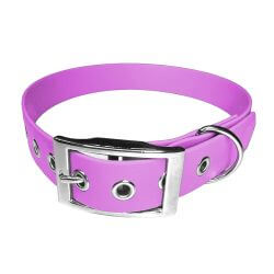 Collier pour Chien Améthyste en matière BioThane®, Largeur 25mm , taille XL
