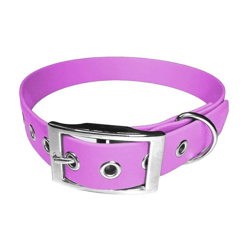 Collier pour Chien Améthyste en matière BioThane®, Largeur 25mm , taille XL