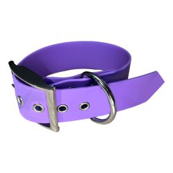 Collier pour Chien Améthyste en matière BioThane®, Largeur 38mm , taille S