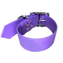 Collier pour Chien Améthyste en matière BioThane®, Largeur 38mm , taille S