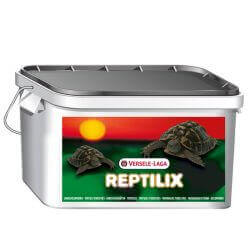 Reptilix Tortues terrestres 1kg