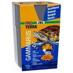RECHARGE GAMMARUS 750ML