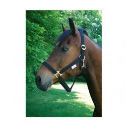 LICOL NYLON CLASSIC NOIR TAILLE 2