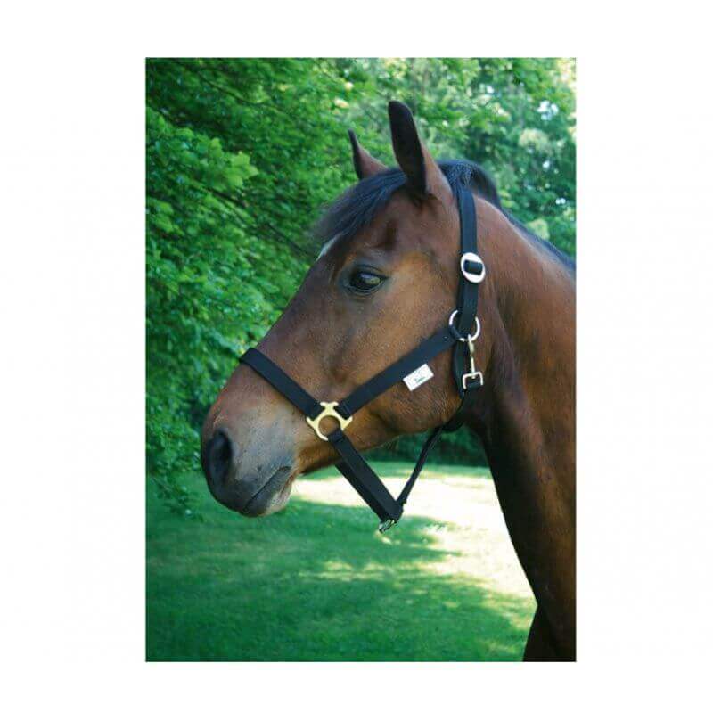 LICOL NYLON CLASSIC NOIR TAILLE 2