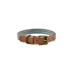 COLLIER STRIPES TURQUOISE 2XL