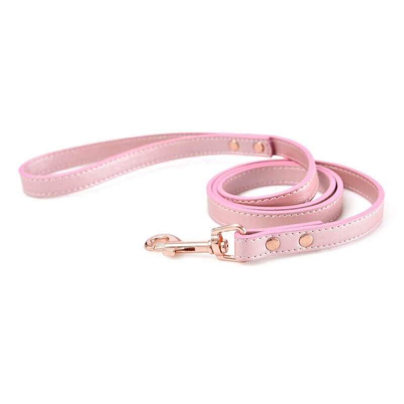 LAISSE SOIREE ROSE 100x2CM