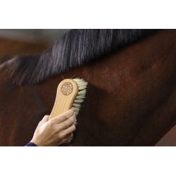BROSSE 2 EN 1 MAGICBRUSH