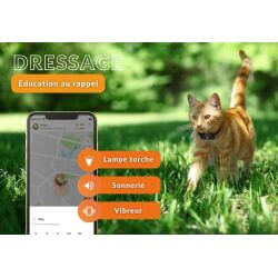Collier GPS chat Weenect XS noir