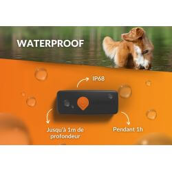 Collier GPS chien Weenect XS noir