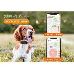 Collier GPS chien Weenect XS noir