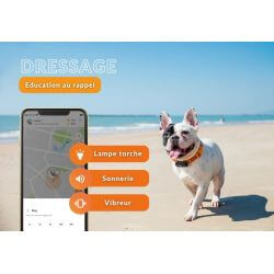 Collier GPS chien Weenect XS noir