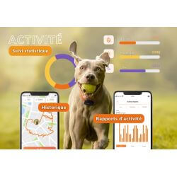 Collier GPS chien Weenect XS noir