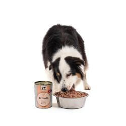 WILLIAM'S OPTIMAL POULET 800gr pour chien