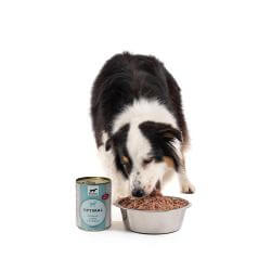 WILLIAM'S OPTIMAL AGNEAU 800gr pour chien