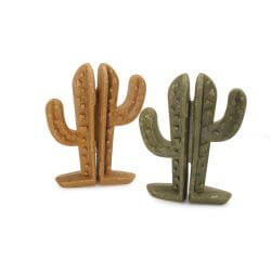 CACTUS MIX EN SACHET DE 90gr X12