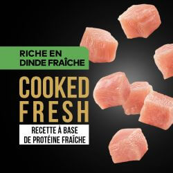 DAFF GRAIN FREE CHAT DINDE FRAICHE 5KG
