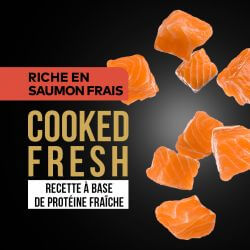 DAFF GRAIN FREE CHIEN ADULTE SAUMON FRAIS 12KG