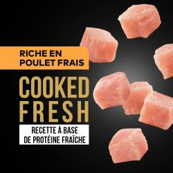 DAFF GRAIN FREE CHIEN ADULTE POULET FRAIS 12KG