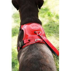 HARNAIS EASYRIDE L ROUGE