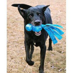 KONG Wubba Comet
