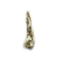 OREILLE DE LAPIN AVEC POILS VRAC