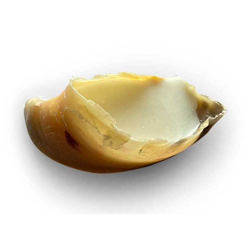 SABOTS FARCIS (avec de la graisse de mouton) VRAC