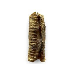 TRACHEE DE BOEUF VRAC