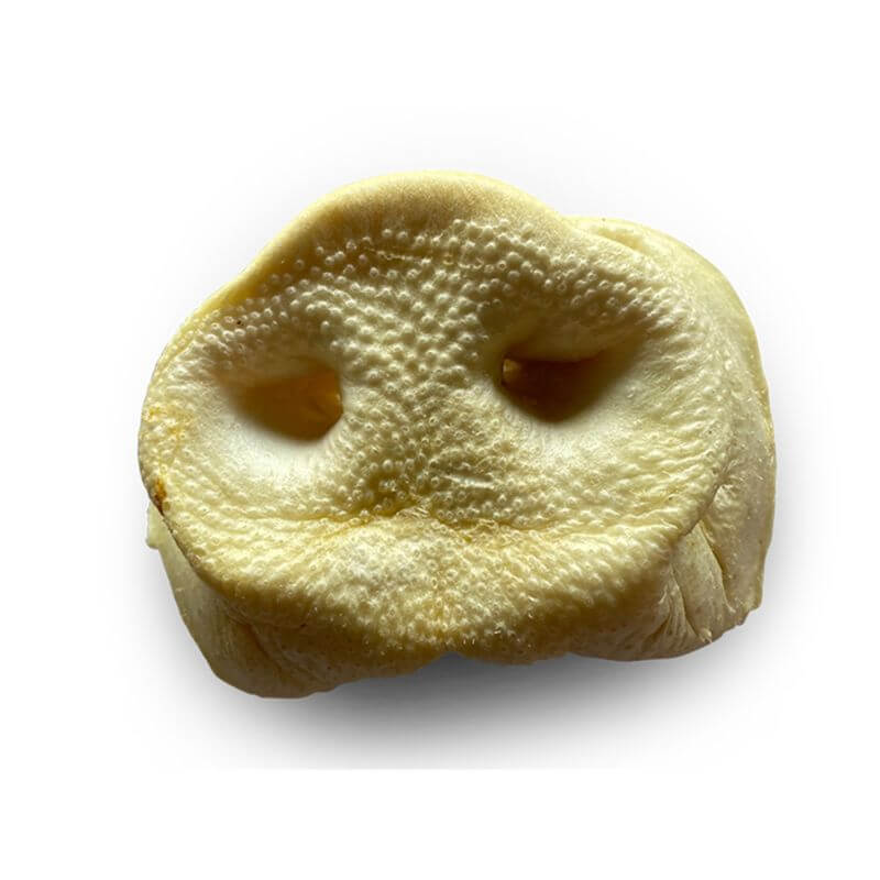 NEZ DE COCHON SOUFFLES EN VRAC