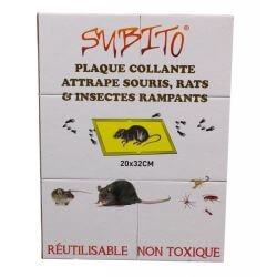 SUBITO PLAQUE COLLANTE RATS ET SOURIS 20X16CM