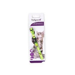 COLLIER CHAT KITTY CAT VERT 20-27cmx8mm