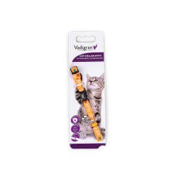 COLLIER CHAT KITTY CAT ORANGE 20-27cmx8mm