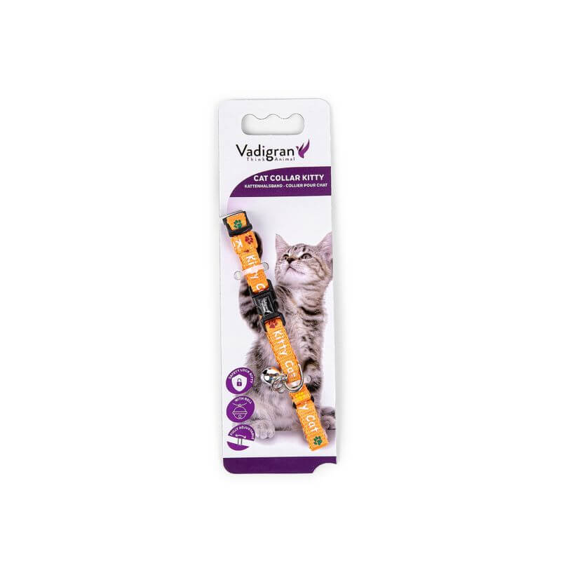 COLLIER CHAT KITTY CAT ORANGE 20-27cmx8mm