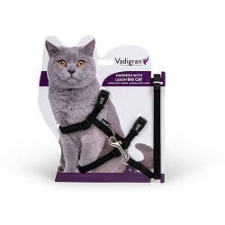 HARNAIS + LAISSE GRAND CHAT NOIR 34/57cm+120cm