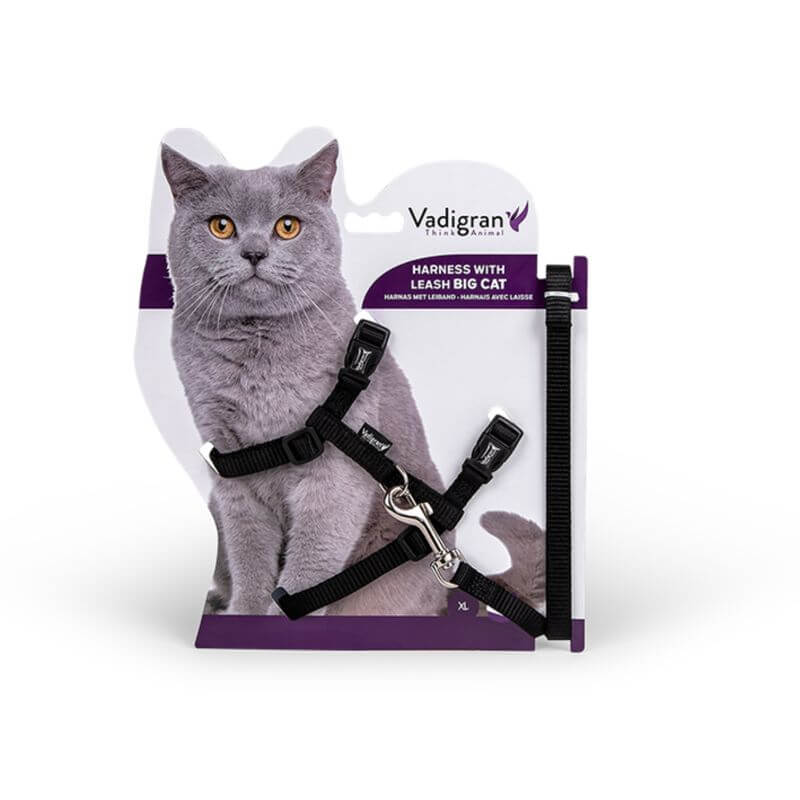 HARNAIS + LAISSE GRAND CHAT NOIR 34/57cm+120cm