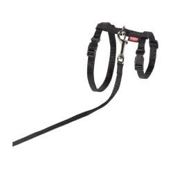 HARNAIS + LAISSE GRAND CHAT NOIR 34/57cm+120cm