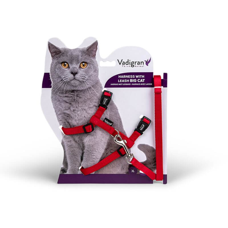 HARNAIS + LAISSE GRAND CHAT ROUGE 34/57cm+120cm