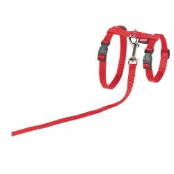 HARNAIS + LAISSE GRAND CHAT ROUGE 34/57cm+120cm