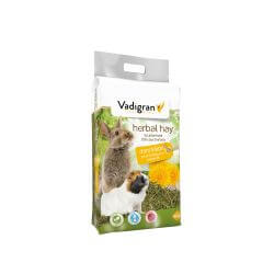 FOIN DE FLEURS DE PISSENLIT 500gr