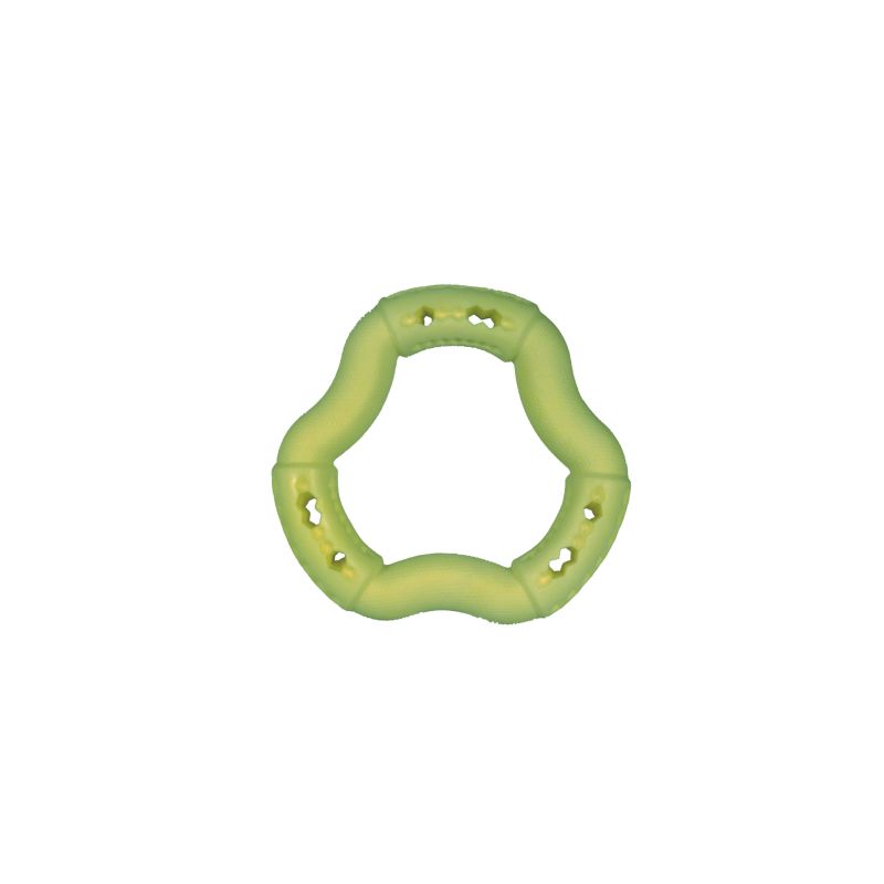 JOUET CHIEN TPR ANNEAU GREEN APPLE 12cm