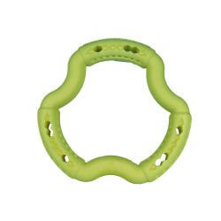 JOUET CHIEN TPR ANNEAU GREEN APPLE 21cm