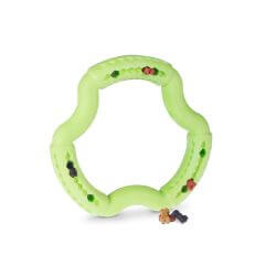 JOUET CHIEN TPR ANNEAU GREEN APPLE 21cm