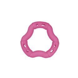 JOUET CHIEN TPR ANNEAU RED FRUTTI 12cm