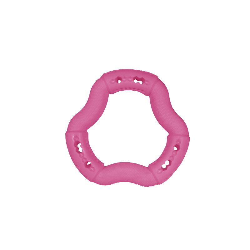 JOUET CHIEN TPR ANNEAU RED FRUTTI 12cm